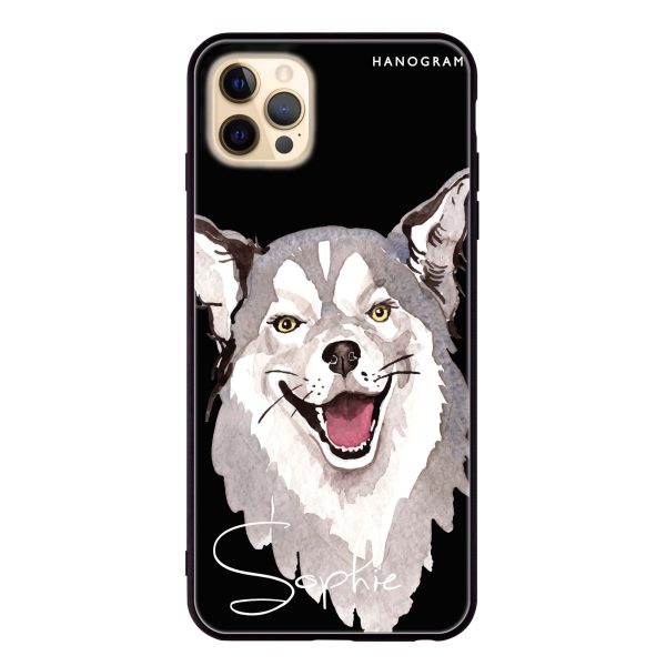 Border Collie iPhone 12 Pro Max Glass Case Supply