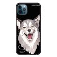 Border Collie iPhone 12 Pro Max Glass Case Supply