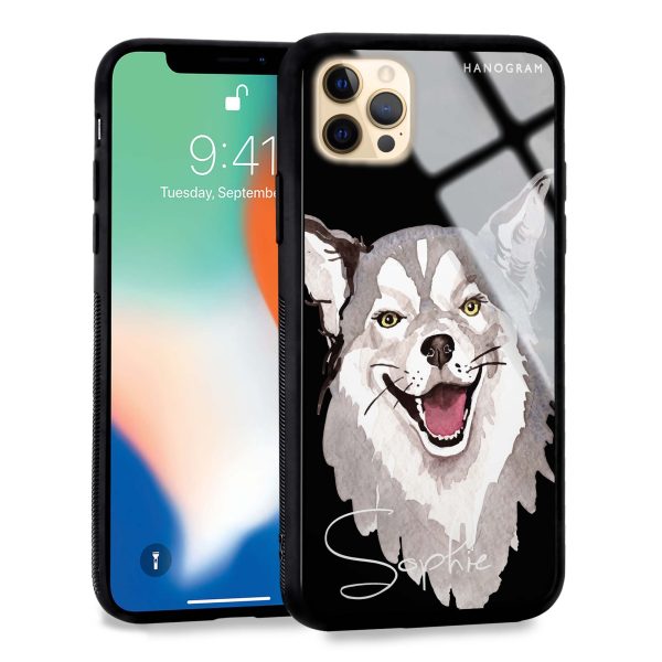 Border Collie iPhone 12 Pro Max Glass Case Supply